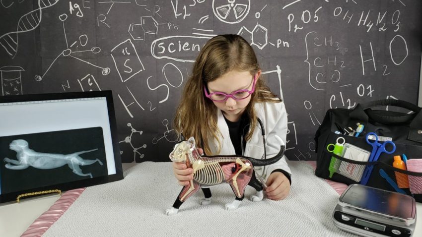 Homeschool Veterinarian Unit Study For Your Animal Lover!