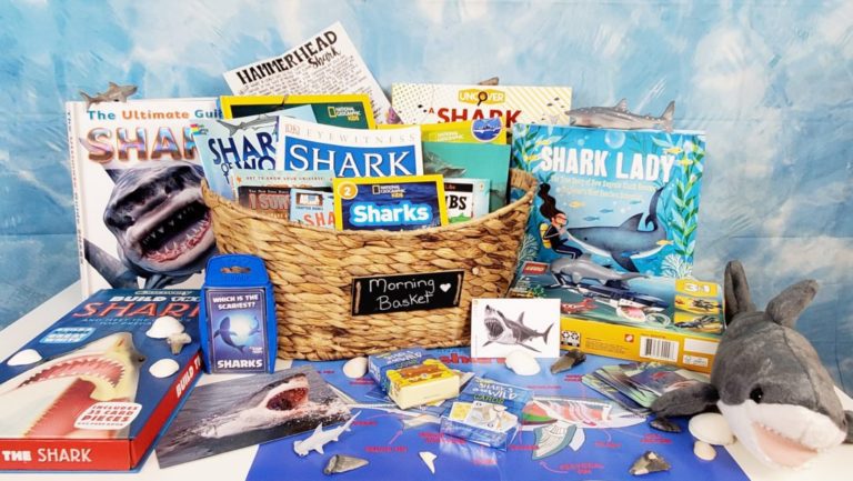 Shark Themed Morning Basket