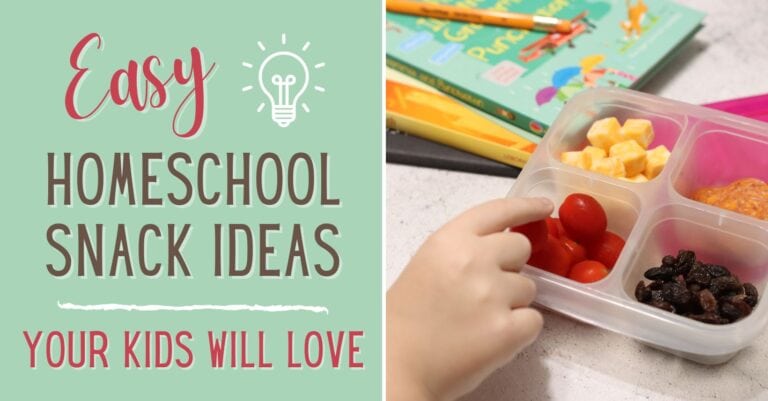Easy Homeschool Snack Ideas Your Child Will Love