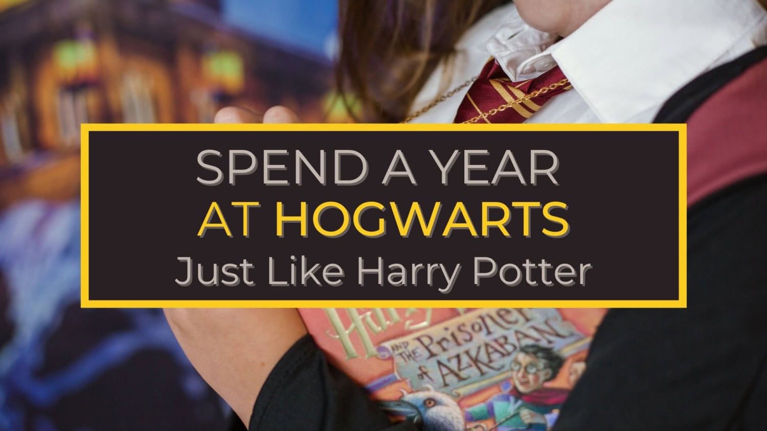 Spend a Year at Hogwarts and Learn Just Like Harry Potter