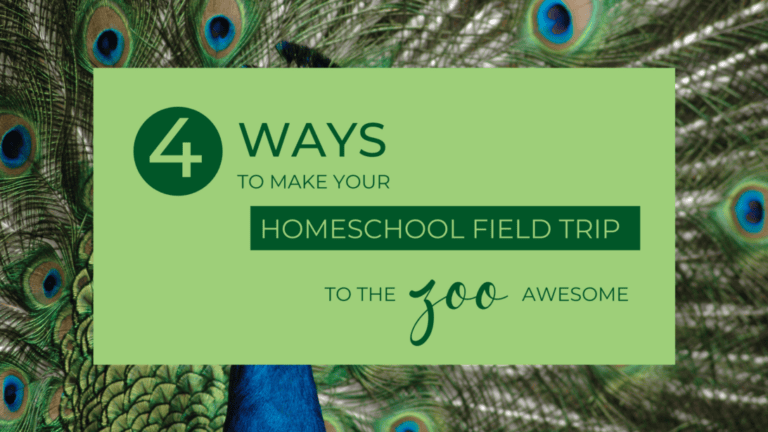 Learn how to make your homeschool field trip to the zoo awesome!