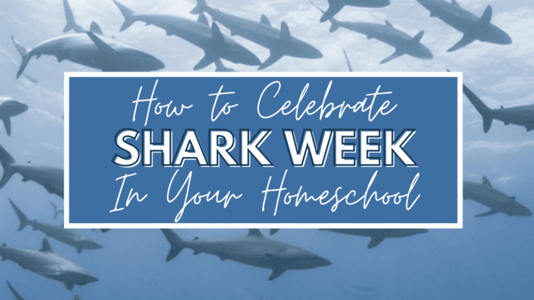 Shark Week on Discovery Channel, an annual celebration of all things “shark,” routinely takes over television during July. It’s the longest running program in history filled with information about the secret lives of these ocean predators. Shark Week's main purpose is to focus on conservation efforts and correcting many of the common misconceptions about sharks. Use the opportunity to celebrate in your homeschool with these awesome resources.