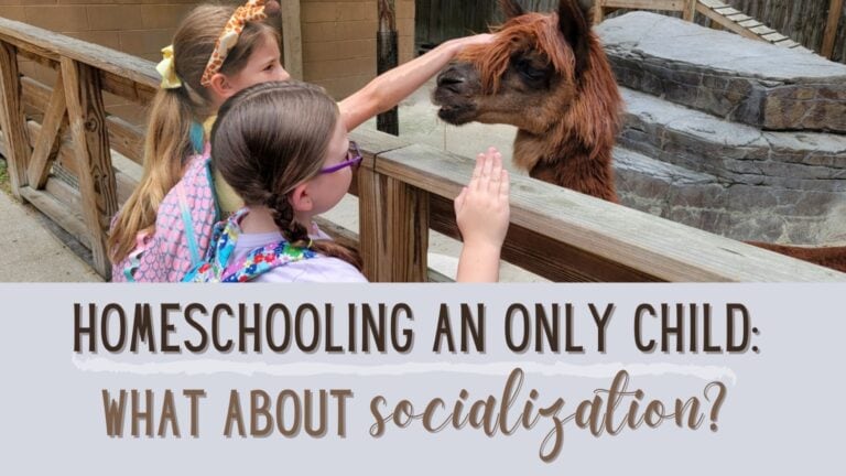 Homeschooling an Only Child: What About Socialization?