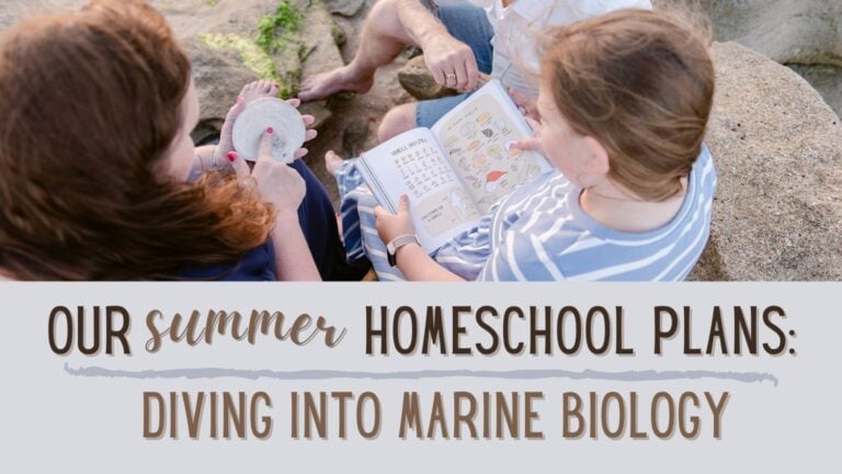 Our Summer Homeschool Plans: Diving Into Marine Biology