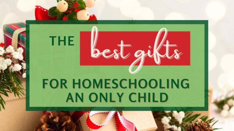 The Best Gifts For Homeschooling An Only Child
