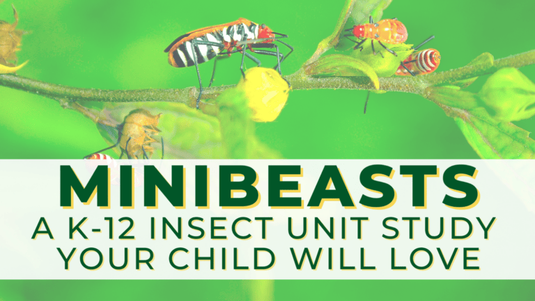 Minibeasts: A K-12 Insect Unit Study Your Child Will Love