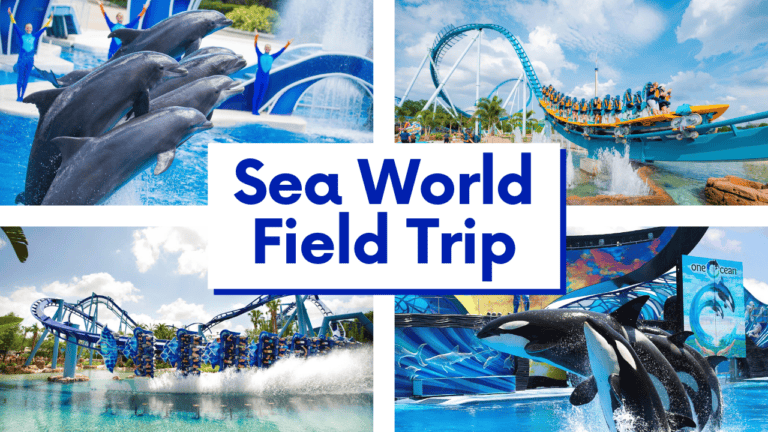 SeaWorld: Top Tips For Your Homeschool Field Trip