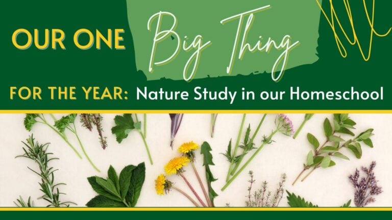 Our One Big Thing For The Year: Nature Study In Our Homeschool