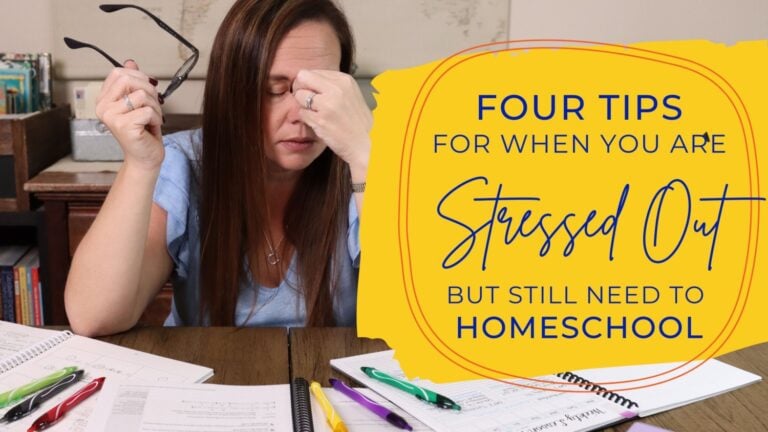 4 Tips for When You’re Stressed Out But Still Need to Homeschool
