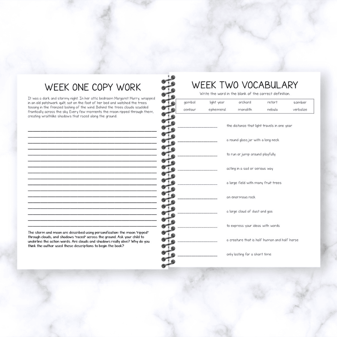 A Wrinkle In Time Novel Study - Image 2