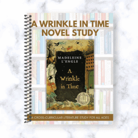 A Wrinkle In Time Novel Study