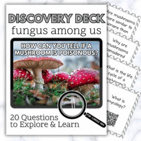 Fungus Among Us Discovery Deck