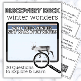 Winter Wonders Discovery Deck
