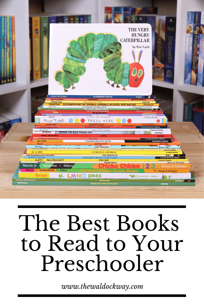 Looking for the best books for preschoolers? Discover engaging picture books that build early literacy, math skills, and imagination. This homeschool-friendly list makes it easy to choose read-alouds your child will love.