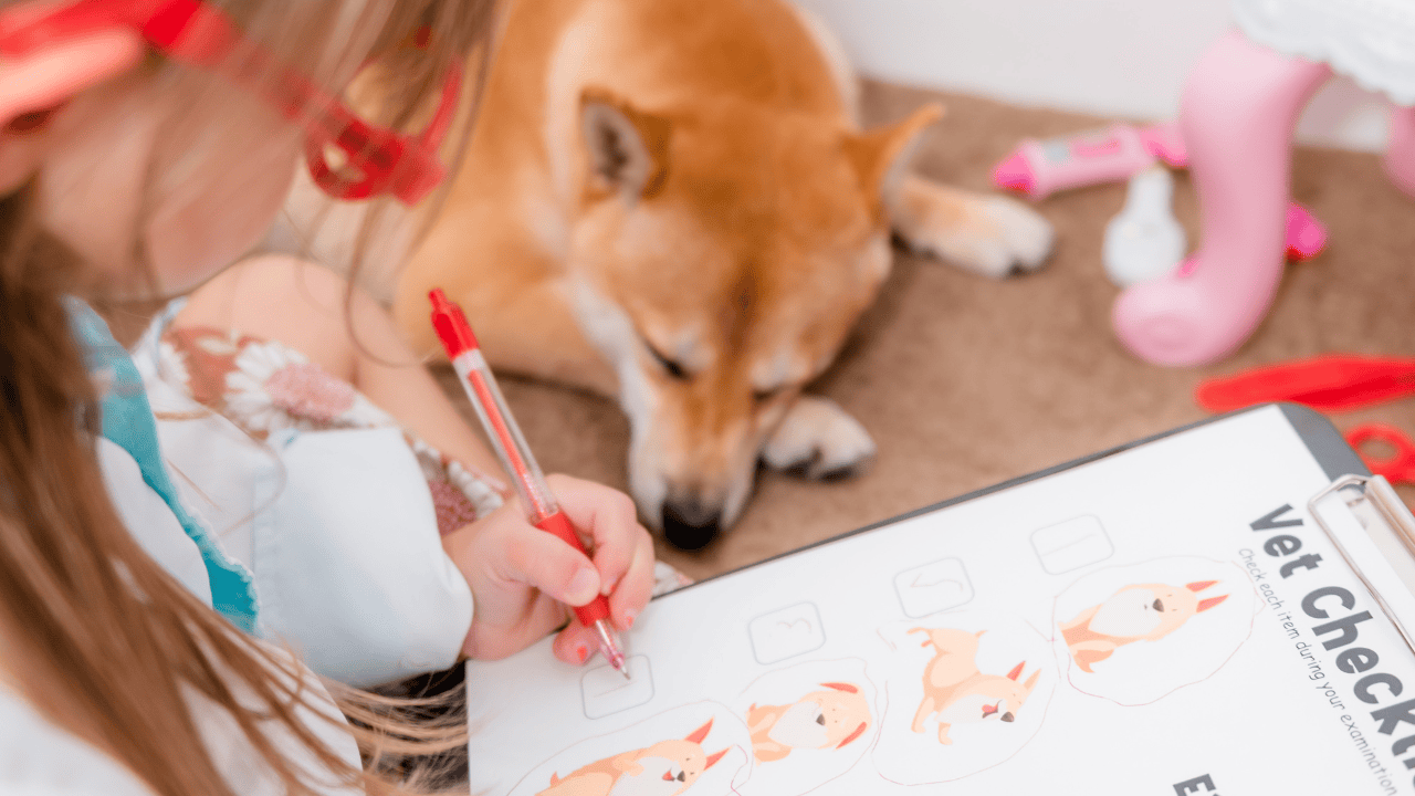 Feeling overwhelmed with homeschool preschool? Discover simple, realistic tips to make learning meaningful through play, books, and everyday life. Learn what truly matters in the early years and how to avoid overcomplicating your homeschool journey.