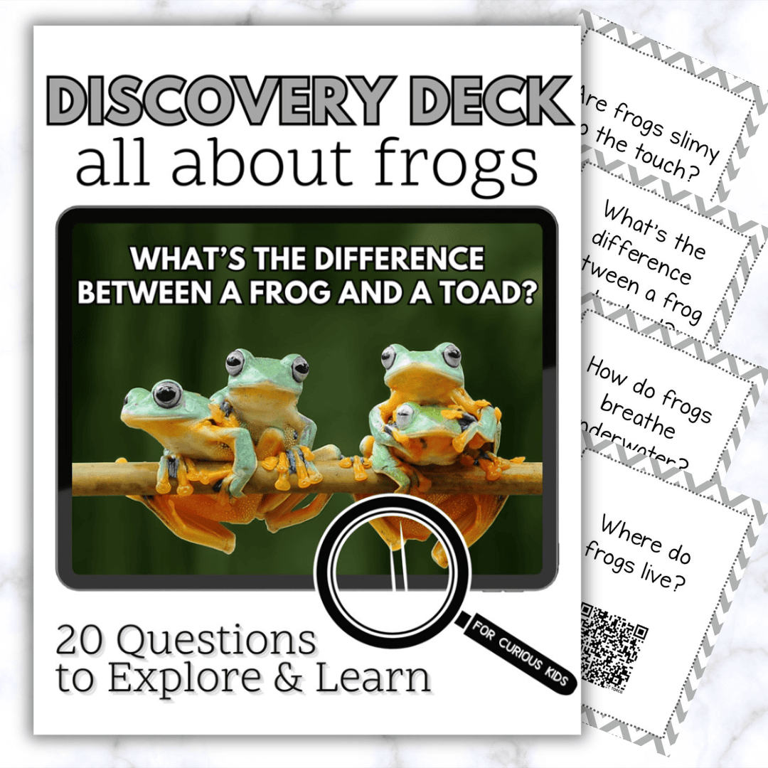 All About Frogs Discovery Deck