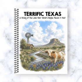 Terrific Texas