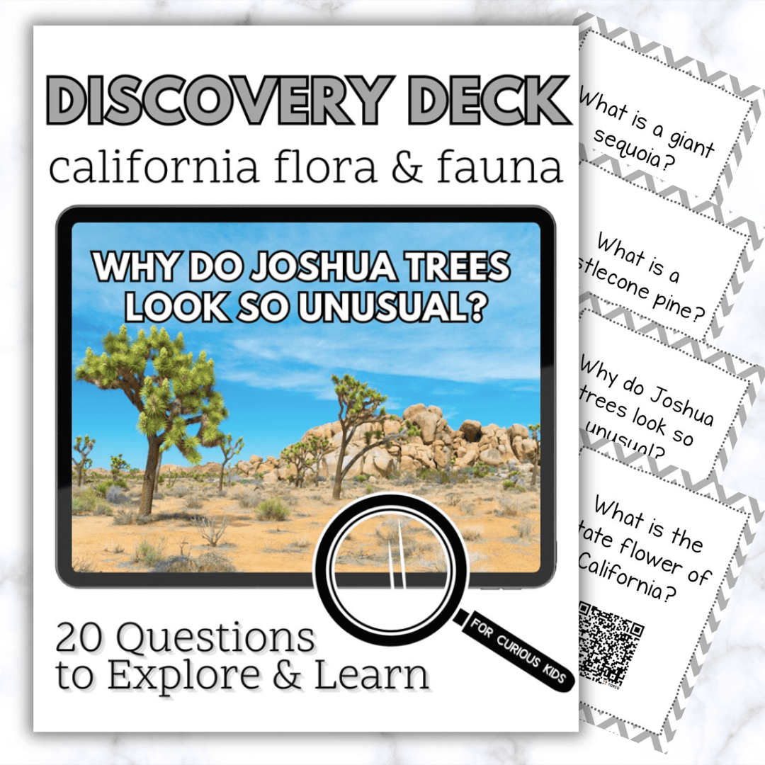 California Flora & Fauna Discovery Deck